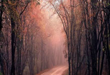 爱游戏:伊万赴赛区密集考察球员 新一期集训名单亟待敲定.