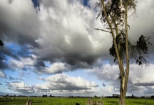 布伦森打出55分 带领尼克斯险胜巫师.